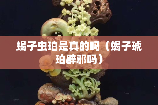 蝎子虫珀是真的吗（蝎子琥珀辟邪吗）
