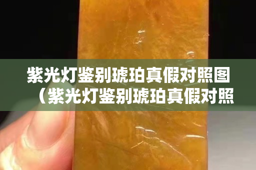 紫光灯鉴别琥珀真假对照图（紫光灯鉴别琥珀真假对照图片）