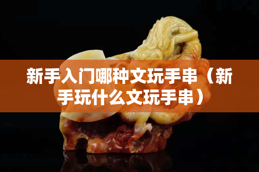 新手入门哪种文玩手串（新手玩什么文玩手串）