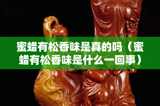 蜜蜡有松香味是真的吗（蜜蜡有松香味是什么一回事）