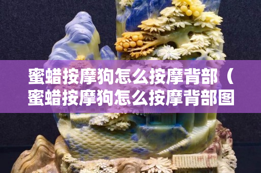蜜蜡按摩狗怎么按摩背部（蜜蜡按摩狗怎么按摩背部图片）
