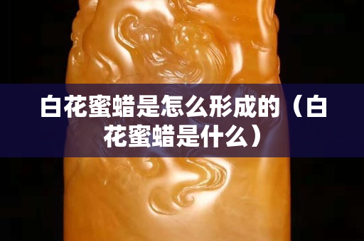 白花蜜蜡是怎么形成的（白花蜜蜡是什么）