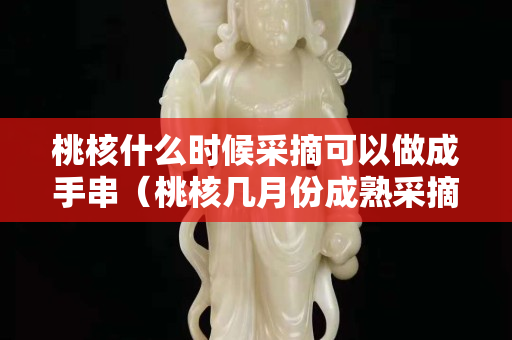 桃核什么时候采摘可以做成手串（桃核几月份成熟采摘）