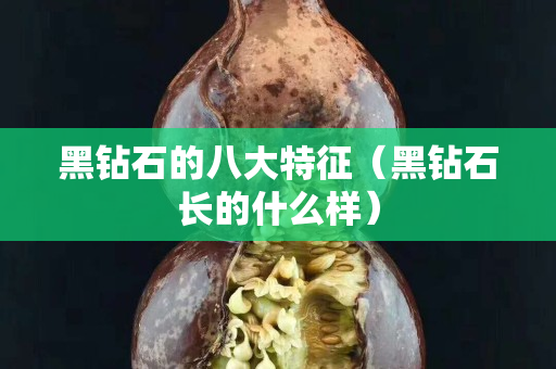 黑钻石的八大特征（黑钻石长的什么样）