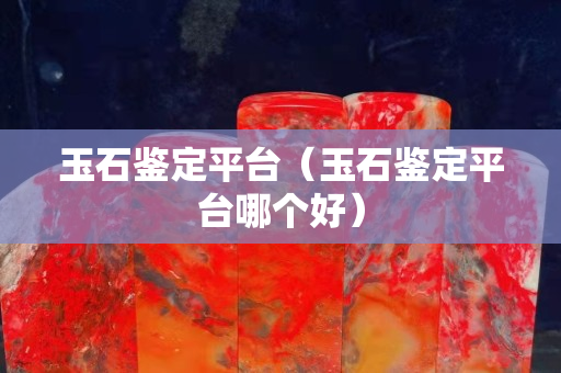 玉石鉴定平台（玉石鉴定平台哪个好）