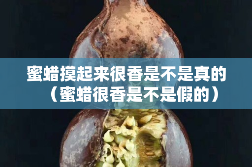 蜜蜡摸起来很香是不是真的（蜜蜡很香是不是假的）