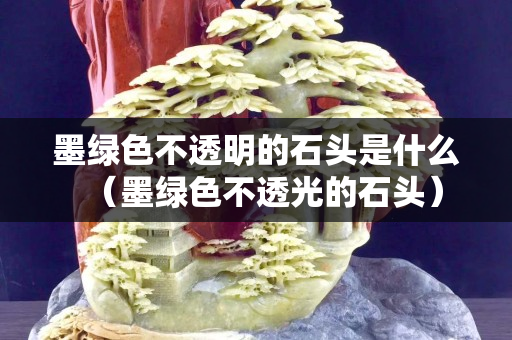 墨绿色不透明的石头是什么（墨绿色不透光的石头）