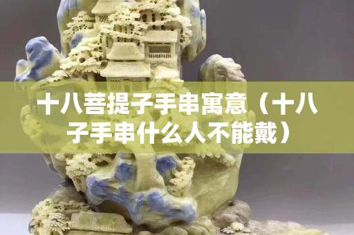 十八菩提子手串寓意（十八子手串什么人不能戴）