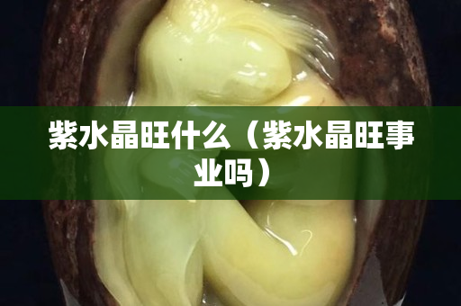 紫水晶旺什么（紫水晶旺事业吗）