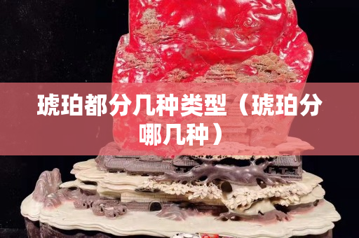 琥珀都分几种类型（琥珀分哪几种）