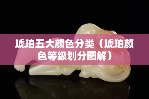琥珀五大颜色分类（琥珀颜色等级划分图解）