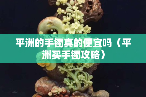平洲的手镯真的便宜吗（平洲买手镯攻略）