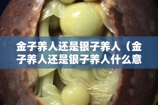 金子养人还是银子养人（金子养人还是银子养人什么意思）