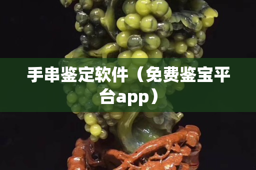 手串鉴定软件（免费鉴宝平台app）