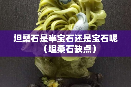 坦桑石是半宝石还是宝石呢（坦桑石缺点）