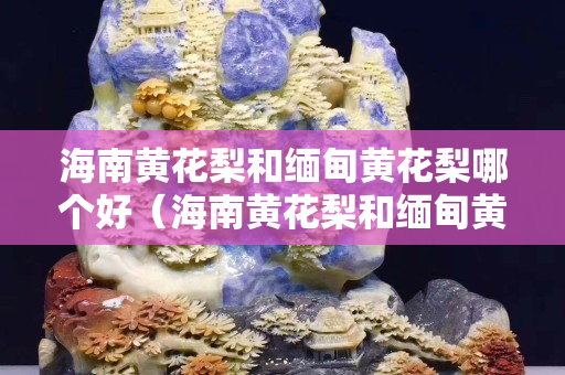 海南黄花梨和缅甸黄花梨哪个好（海南黄花梨和缅甸黄花梨哪个好些）