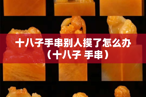 十八子手串别人摸了怎么办（十八子 手串）