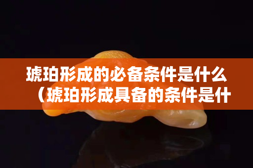 琥珀形成的必备条件是什么（琥珀形成具备的条件是什么）