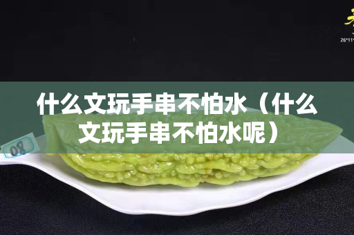 什么文玩手串不怕水（什么文玩手串不怕水呢）