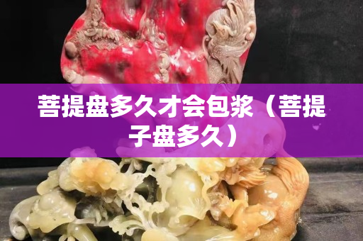 菩提盘多久才会包浆（菩提子盘多久）