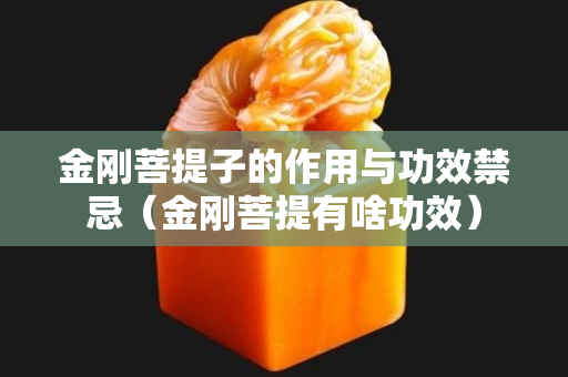 金刚菩提子的作用与功效禁忌（金刚菩提有啥功效）