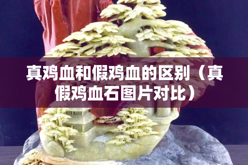 真鸡血和假鸡血的区别（真假鸡血石图片对比）