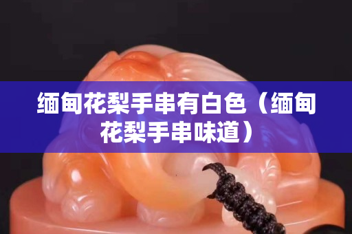 缅甸花梨手串有白色（缅甸花梨手串味道）