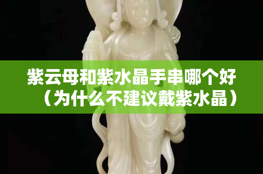 紫云母和紫水晶手串哪个好（为什么不建议戴紫水晶）