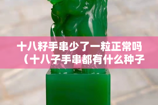 十八籽手串少了一粒正常吗（十八子手串都有什么种子）