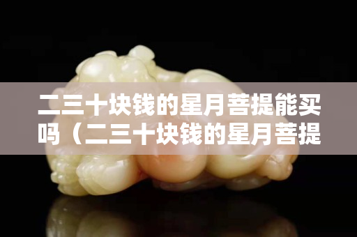 二三十块钱的星月菩提能买吗（二三十块钱的星月菩提能买吗安全吗）