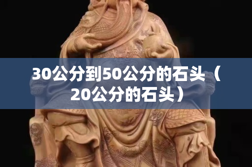 30公分到50公分的石头（20公分的石头）