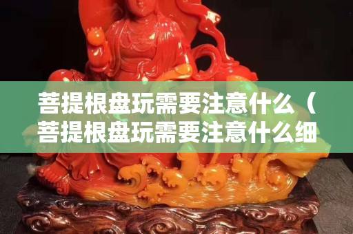 菩提根盘玩需要注意什么（菩提根盘玩需要注意什么细节）