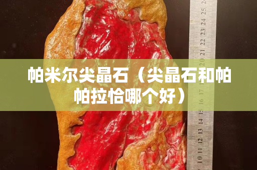 帕米尔尖晶石（尖晶石和帕帕拉恰哪个好）