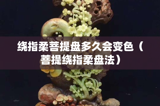 绕指柔菩提盘多久会变色（菩提绕指柔盘法）