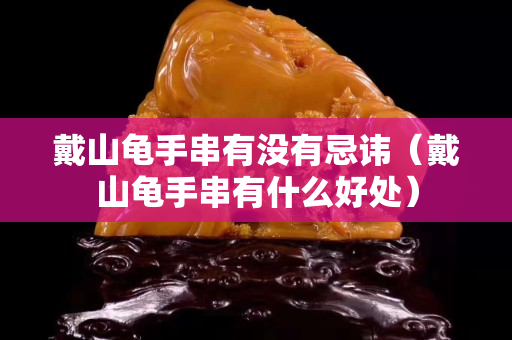 戴山龟手串有没有忌讳（戴山龟手串有什么好处）
