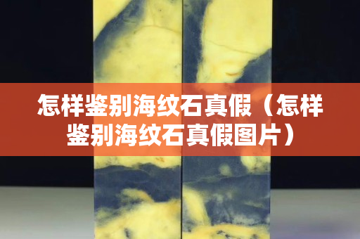 怎样鉴别海纹石真假（怎样鉴别海纹石真假图片）