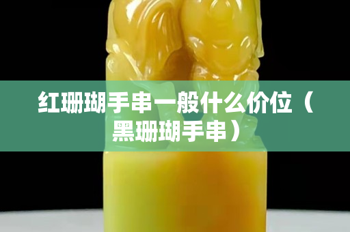 红珊瑚手串一般什么价位（黑珊瑚手串）