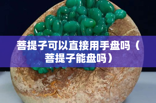 菩提子可以直接用手盘吗（菩提子能盘吗）