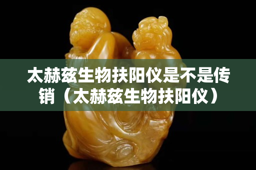 太赫兹生物扶阳仪是不是传销（太赫兹生物扶阳仪）