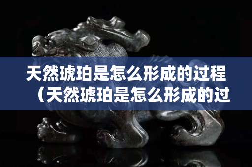 天然琥珀是怎么形成的过程（天然琥珀是怎么形成的过程(小故事不40字)）