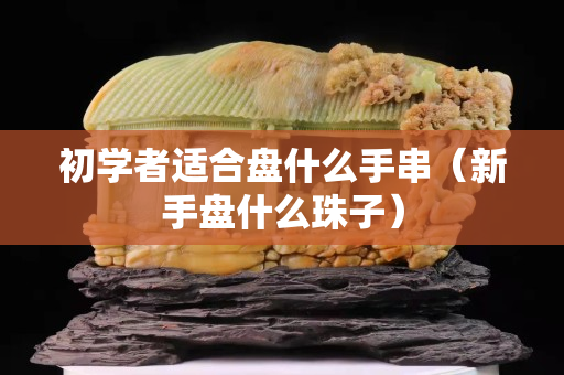 初学者适合盘什么手串（新手盘什么珠子）