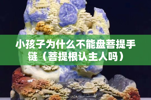 小孩子为什么不能盘菩提手链（菩提根认主人吗）