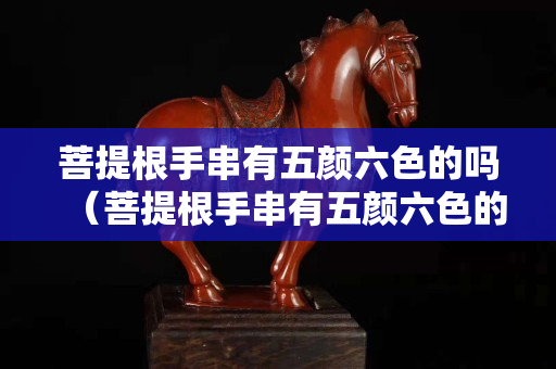 菩提根手串有五颜六色的吗（菩提根手串有五颜六色的吗）
