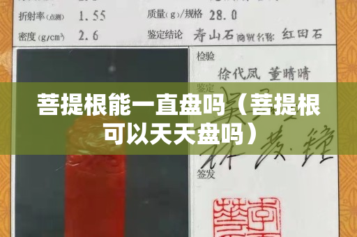 菩提根能一直盘吗（菩提根可以天天盘吗）