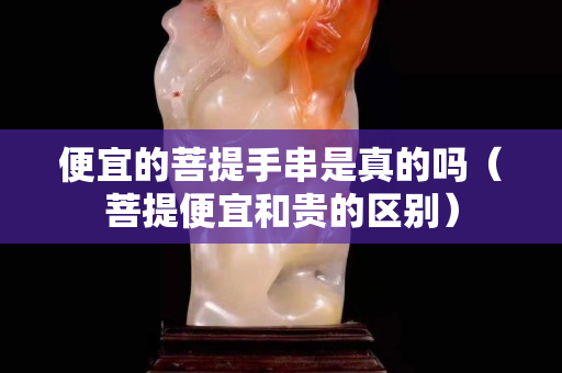 便宜的菩提手串是真的吗（菩提便宜和贵的区别）