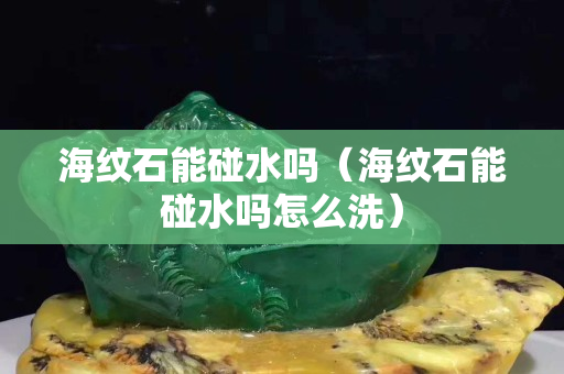 海纹石能碰水吗（海纹石能碰水吗怎么洗）