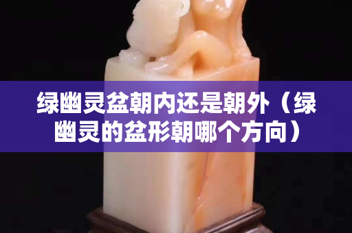绿幽灵盆朝内还是朝外（绿幽灵的盆形朝哪个方向）