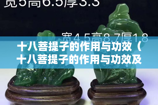 十八菩提子的作用与功效（十八菩提子的作用与功效及禁忌）