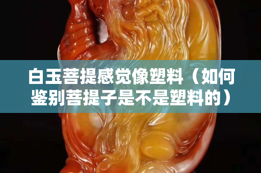 白玉菩提感觉像塑料（如何鉴别菩提子是不是塑料的）
