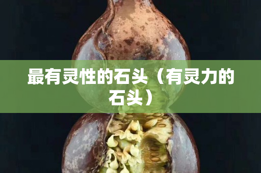 最有灵性的石头（有灵力的石头）